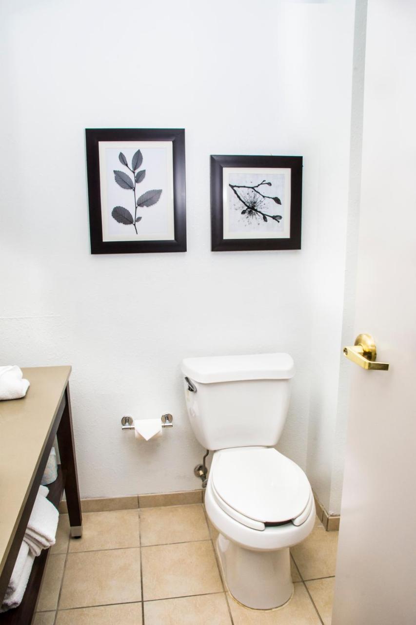Hotel Country & By Radisson, Winchester, Va
